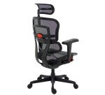 Chaise ultra-ergonomique ERGOHUMAN ULTIMATE avec accoudoirs et appuie-tête réglables