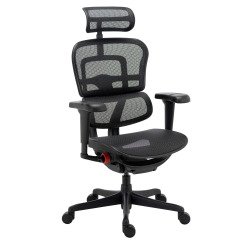 Ultra-ergonomic chair ERGOHUMAN ULTIMATE with adjustable armrests and headrest