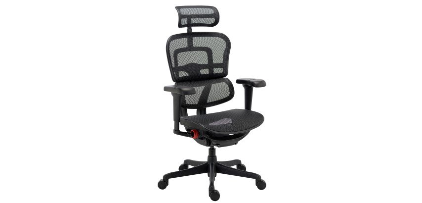 Stuhl ultra-ergonomisch ERGOHUMAN ULTIMATE mit verstellbaren Armlehnen und Kopfstütze.