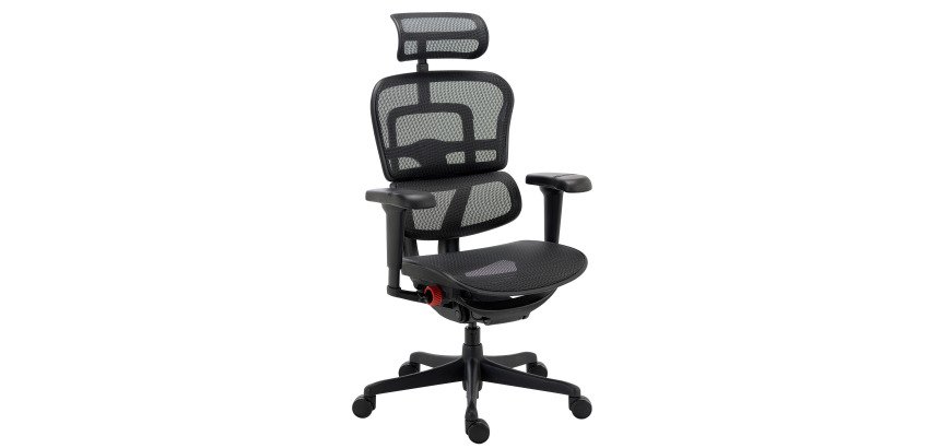 Chaise ultra-ergonomique ERGOHUMAN ULTIMATE avec accoudoirs et appuie-tête réglables