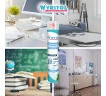 Désinfectant grands espaces bactéricide Wyritol menthe - Aérosol 750 ml