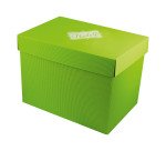 Confezione natalizia Icaro