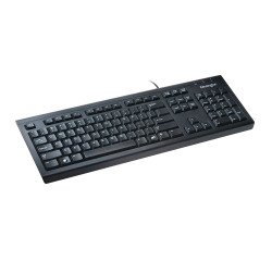 En_kensington tastiera kb100s usb