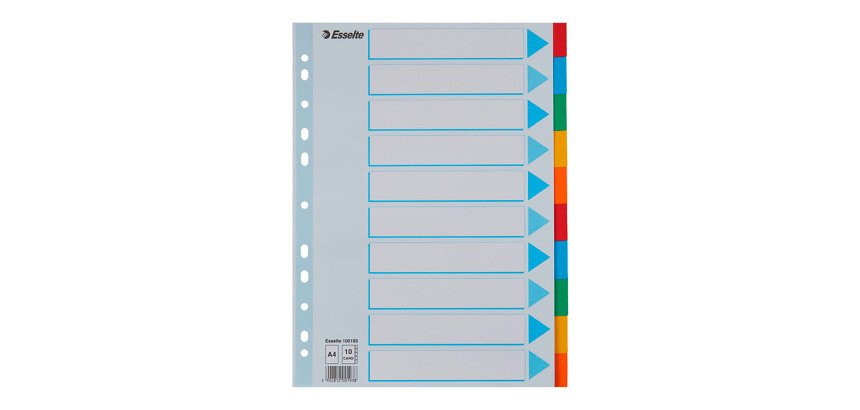 Intercalaire A4 carte lustrée Esselte 10 onglets neutres multicolores - 1 jeu