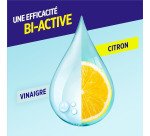 Liquide vaiselle mains Paic Bi-Activ' vinaigre & citron - Flacon de 750 ml