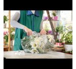 Pince agrafeuse Rapid Eco - Agrafes 24/6 et 26/6 - Capacité de 20 feuilles