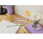 Matite Pastel Bic Ecolution Evolution HB 12 pezzi