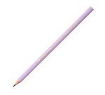 Matite Pastel Bic Ecolution Evolution HB 12 pezzi