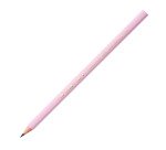 Matite Pastel Bic Ecolution Evolution HB 12 pezzi