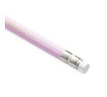 Matite con gommino Pastel Bic Ecolution Evolution HB 12 pezzi