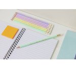 Matite con gommino Pastel Bic Ecolution Evolution HB 12 pezzi