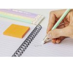 Matite con gommino Pastel Bic Ecolution Evolution HB 12 pezzi