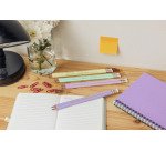 Matite con gommino Pastel Bic Ecolution Evolution HB 12 pezzi