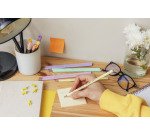 Matite Pastel Bic Ecolution Evolution HB 12 pezzi
