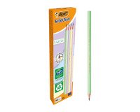 Matite Pastel Bic Ecolution Evolution HB 12 pezzi