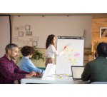 Paperboard - chevalet de conférence fixe Economy Triangle sur trépied