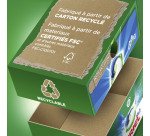 Pack 2 boîtes Lessive Ariel 3 en 1 Alpine, 2 boîtes de 33 pods + 1 boîte OFFERTE