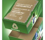 Lessive Pods Ariel 3 en 1 Original – 33 lavages