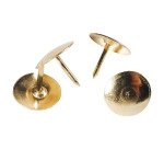 Punaises laitonnées - Boîte de 750