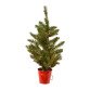 Mini arból de Navidad Allison pre iluminado - Alto 45 cm