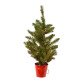 Sapin de Noël mini et illuminé - Allison - Haiteur 45 cm