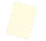 Couverture de reliure Fellowes Delta grain cuir 250 g A4 - Boîte de 100
