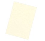 Couverture de reliure Fellowes Delta grain cuir 250 g A4 - Boîte de 100