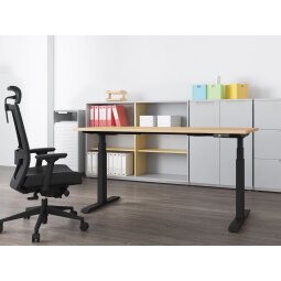 Sit-stand desk Omega electrically adaptable in the height