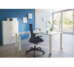 Panneaux écrans acoustiques L 160 cm