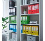 Classeur à levier N°1 Power Esselte Vivida - Dos de 5 cm