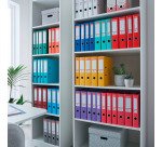 Classeur à levier N°1 Power Esselte Vivida - Dos 5 cm