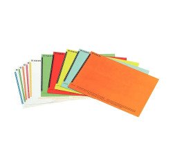 Labels for suspended folders for Esselte 6 x 138 mm assorted colors cabinet - Pack of 250