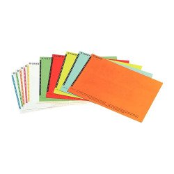 Etiquettes pour dossiers suspendus pour armoire 6 x 138 mm Esselte couleurs assorties - Paquet de 250