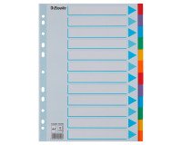 Tabbladen A4 gekleurd karton Esselte 12 tabs - 1 set
