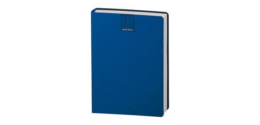 Agenda 2027 15x21 cm giornaliera 336 pagine copertina flessibile