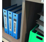 Étiquette papier continu 29 mm x 30,48 m Brother DK22210