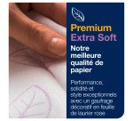 Essuie-mains pliage enchevêtré Tork Xpress H2 Premium - Carton de 2100