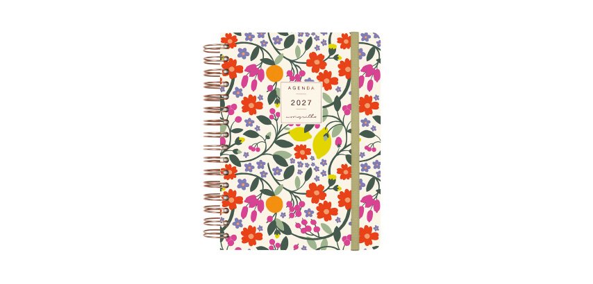 Agenda dia página 155x215 mm Moniquilla Verde Finocam