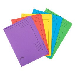 Exacompta Forever Recycled Slip Files - Assorted colours