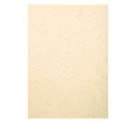 Couverture de reliure Exacompta - Boîte de 100