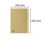 Trieur carte Exacompta Forever alphabétique 24 divisions brun