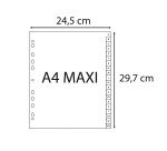Intercalaire A4+ polypropylène Exacompta Forever 20 onglets alphabétiques gris - 1 jeu
