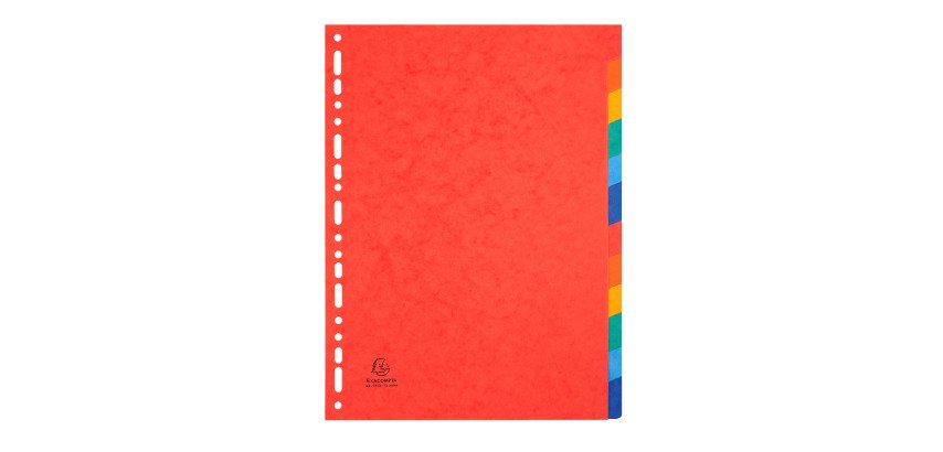 Kartonnen tabbladen, A4, 12 tab