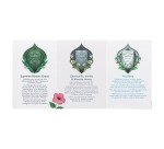 Thés et infusions Sélection Bio Pukka - Coffret en bambou de 42 sachets