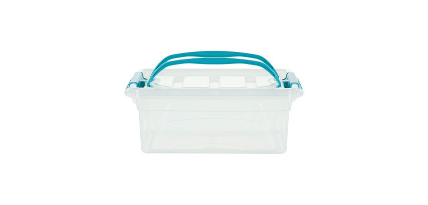 Kunststoff-Aufbewahrungsbox 5 L WHITEFURZE Allstore Carry Box - farblos