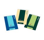 Blocchi Ariston A4 21x29,7 cm 70 ff 60 g quadretti 5 mm Blasetti 10 pezzi