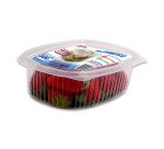 Contenitori ermetici Cristal 500 cc - 2 pz