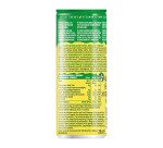 Zyla Focus Citrus, Ginkgo Biloba & Ginger  25 cl - 24 canettes