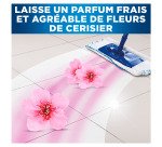 Nettoyant multi-usages Mr Propre Professionnal Fleurs de cerisier - Bidon de 5 L