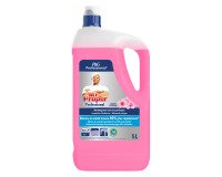 Multi-purpose cleaner Mr. Clean Professional Cherry Blossom - 5 L can.